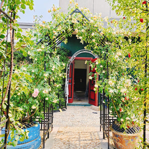 Metal Garden Arch with Adjustable Width for Climbing Plants