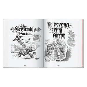 Robert Crumb. Sketchbook Vol. 5. 1989–1998 (English)