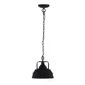 D10.4x11.4" Hanging Lamp