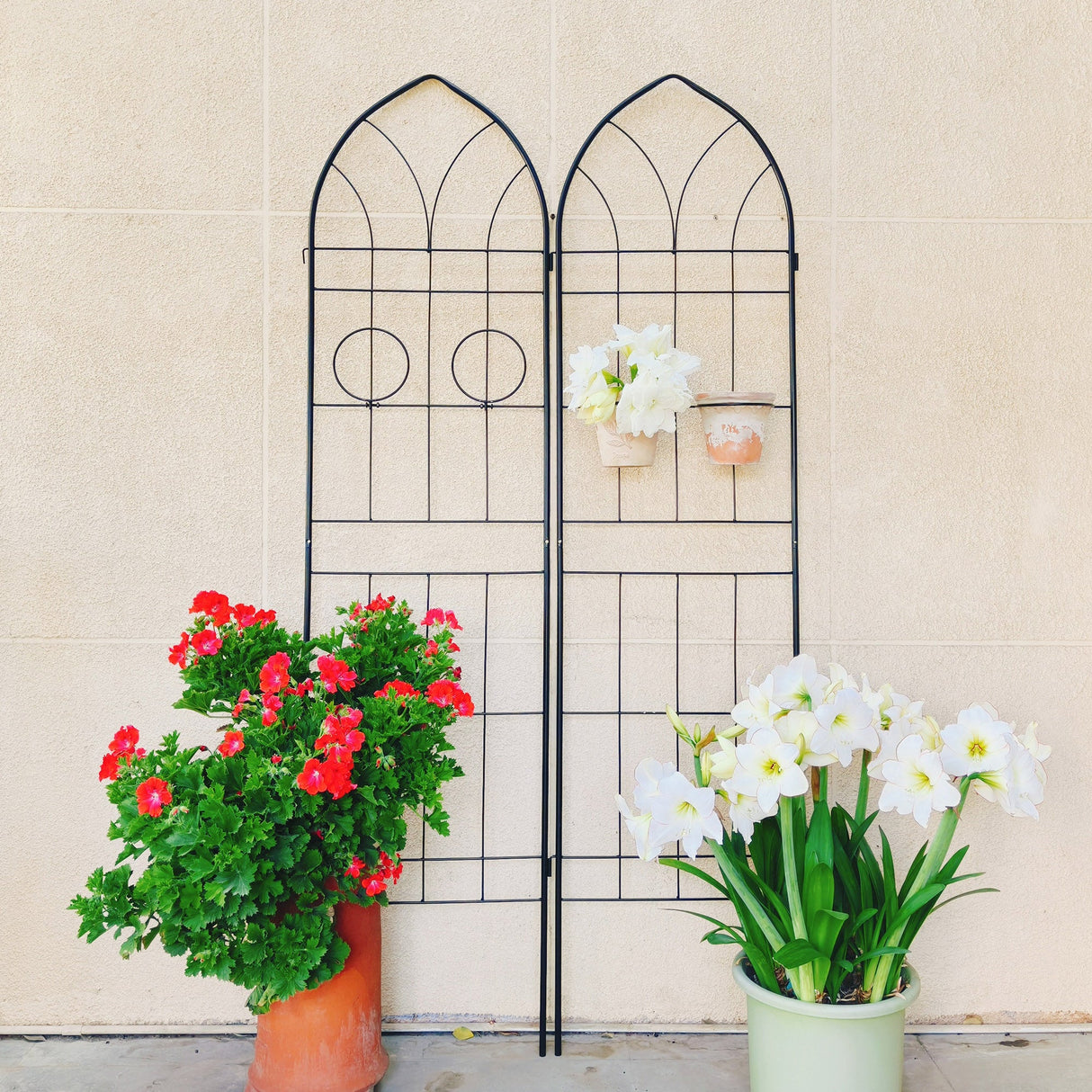 4 Pack Metal Garden Trellis