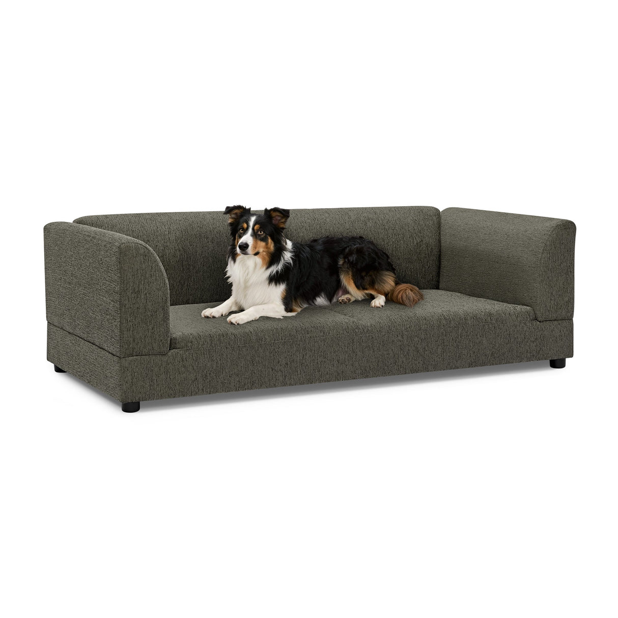Comfortable Oversized Pet Sofa for Medium/Large Dogs