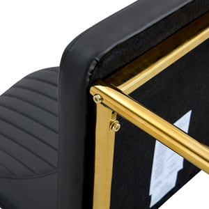 Luxury Simple Chair With Metal Leg