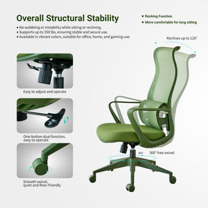 Ergonomic Colorful Office Chair