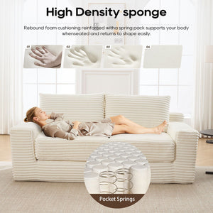 Convertible Loveseat Sofa Bed With Memory Foam & Steel Frame