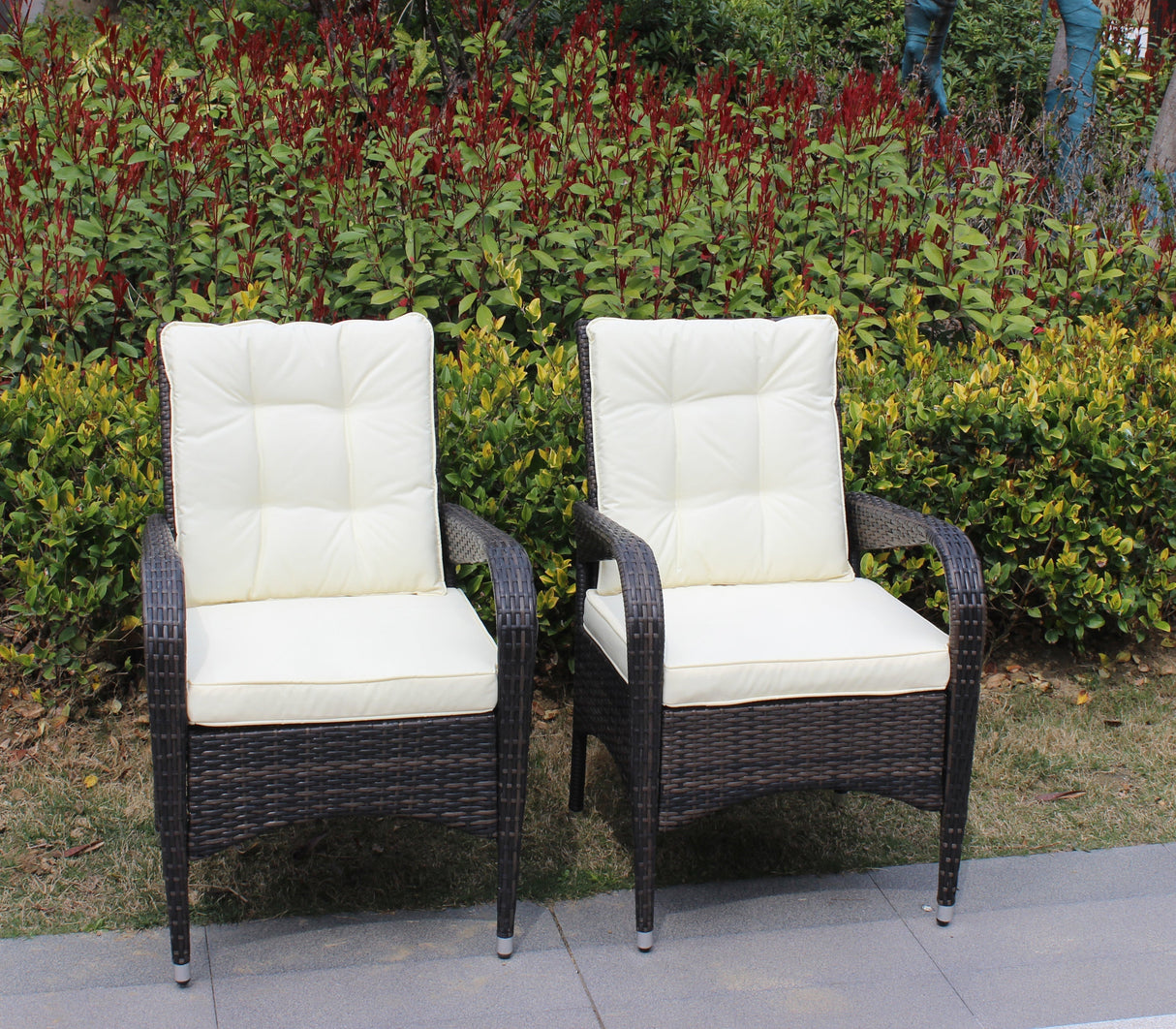 2-Piece Liberatore Dining Chairs with Beige Cushions