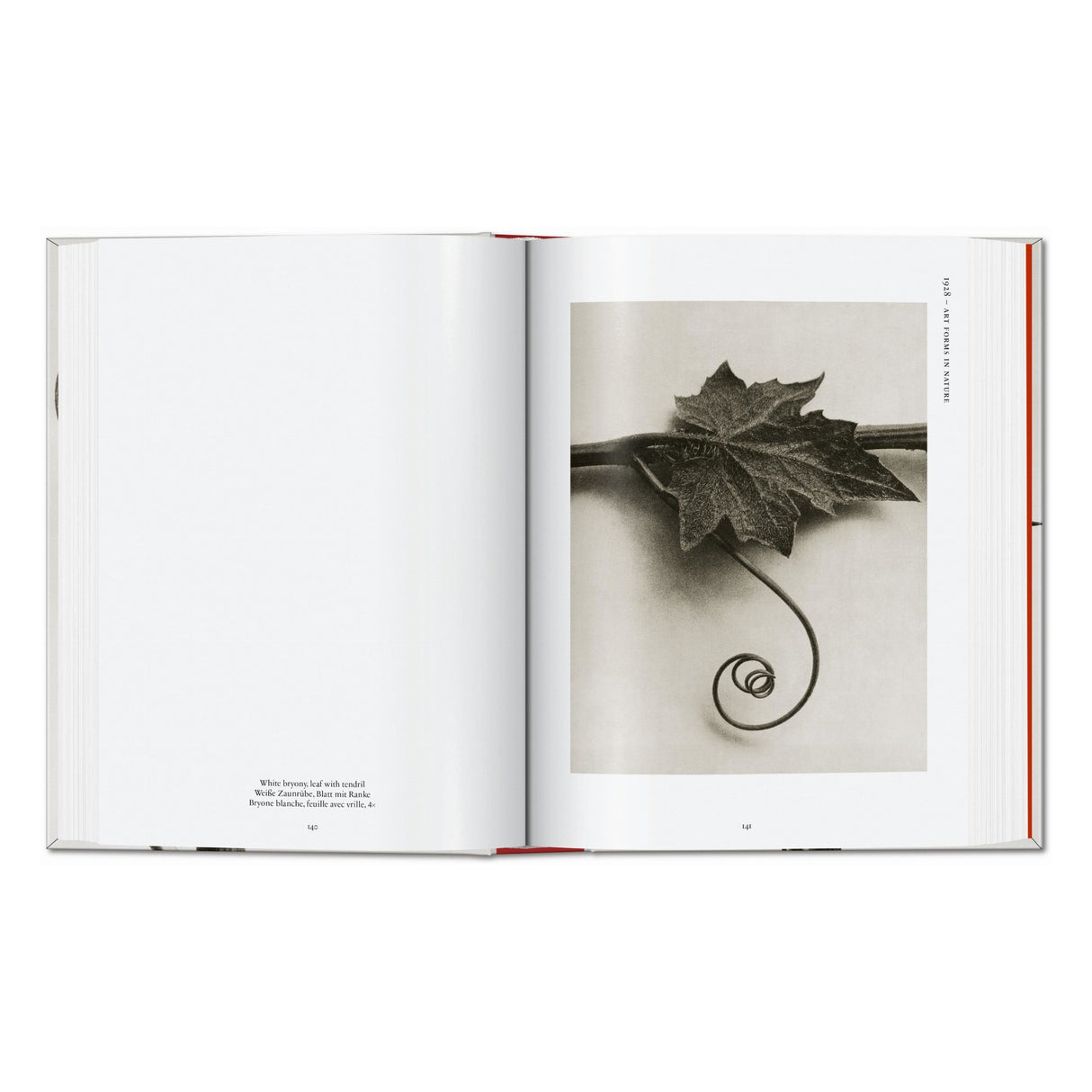 Karl Blossfeldt. The Complete Published Work. 45th Ed. (German, French, English)
