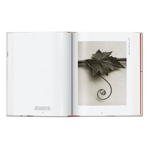 Karl Blossfeldt. The Complete Published Work. 45th Ed. (German, French, English)