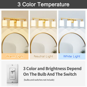 4-Light Brushed Bathroom Vanity Wall Light