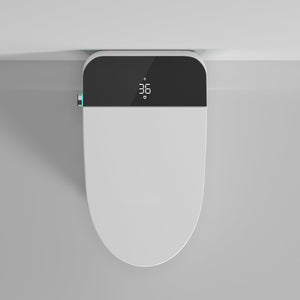 Modern Smart Toilet with Bidet Seat Built-In