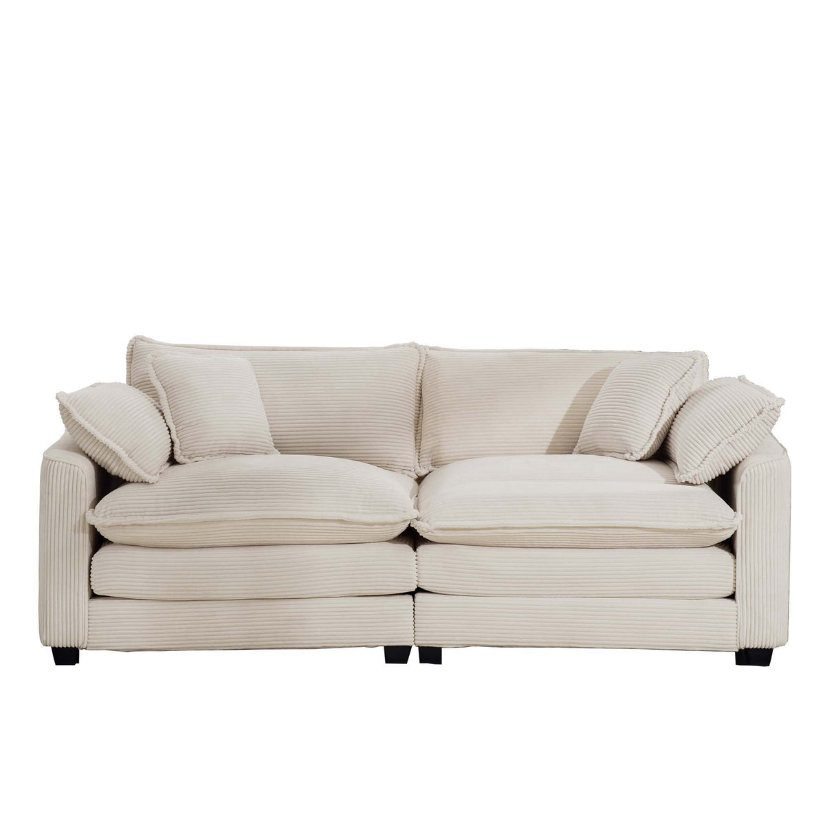 Modern 2 Seater With 4 Pillows, Upholstered Deep Seating Loveseat