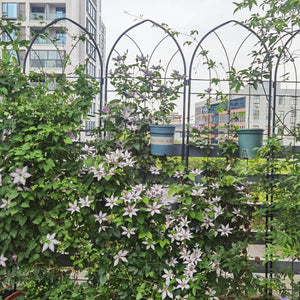 4 Pack Metal Garden Trellis