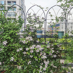 4 Pack Metal Garden Trellis