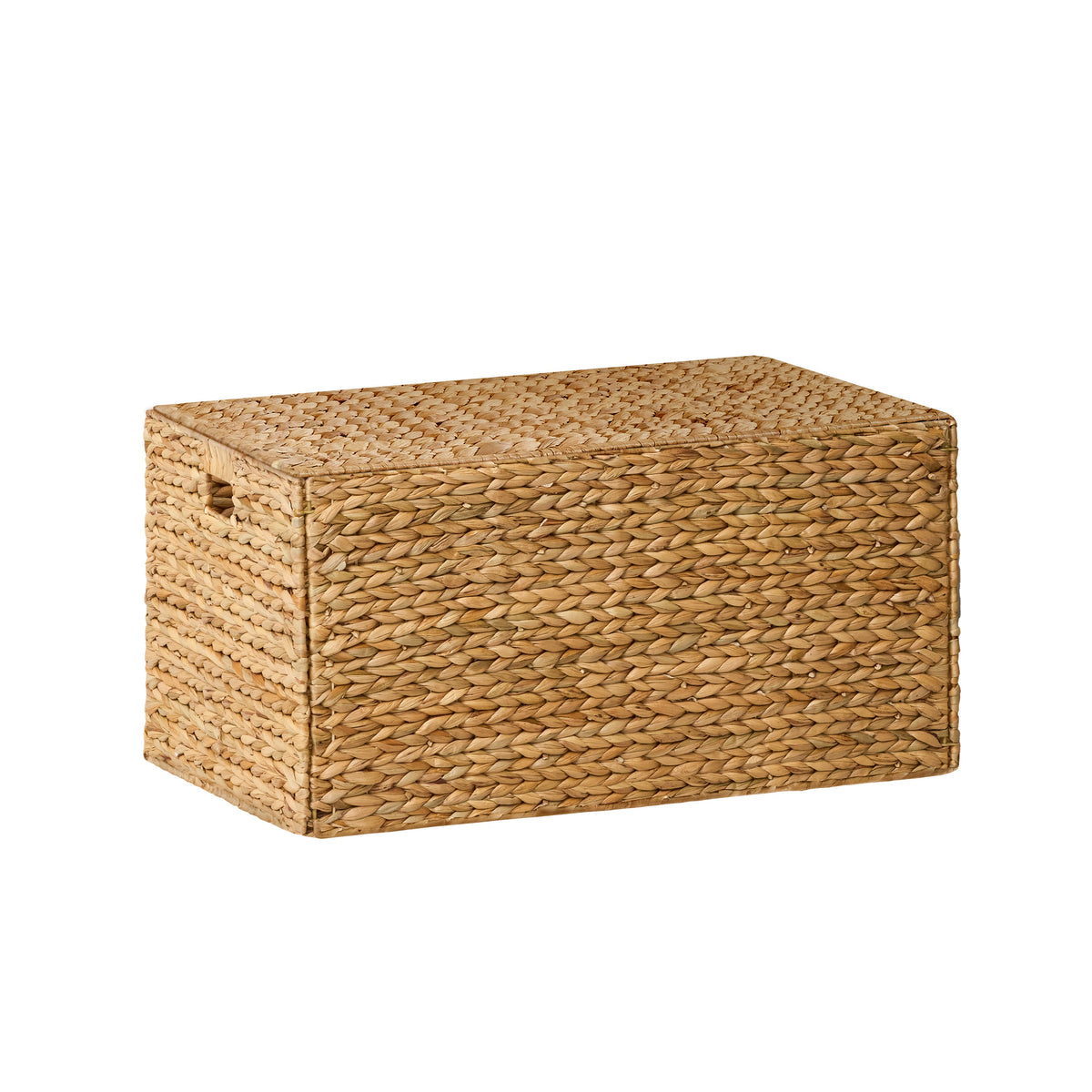 Ludmila Water Hyacinth Rectangular Storage Trunk
