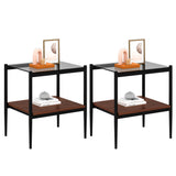 Set of 2 Rectangle End Tables with Gray Glass Tops