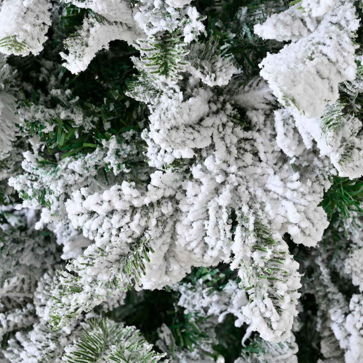 20611607