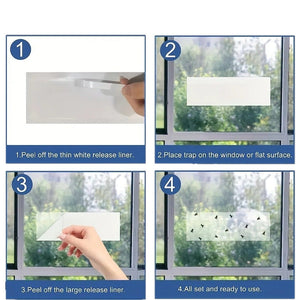 Fruit Fly Trap – Sticky Window Fly Catcher for Indoor Use