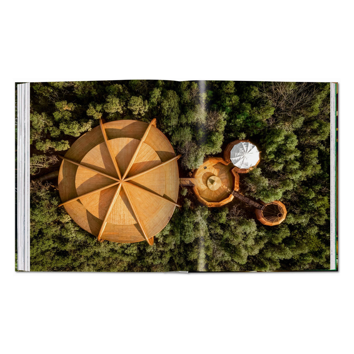 Modern Tree Houses (English)