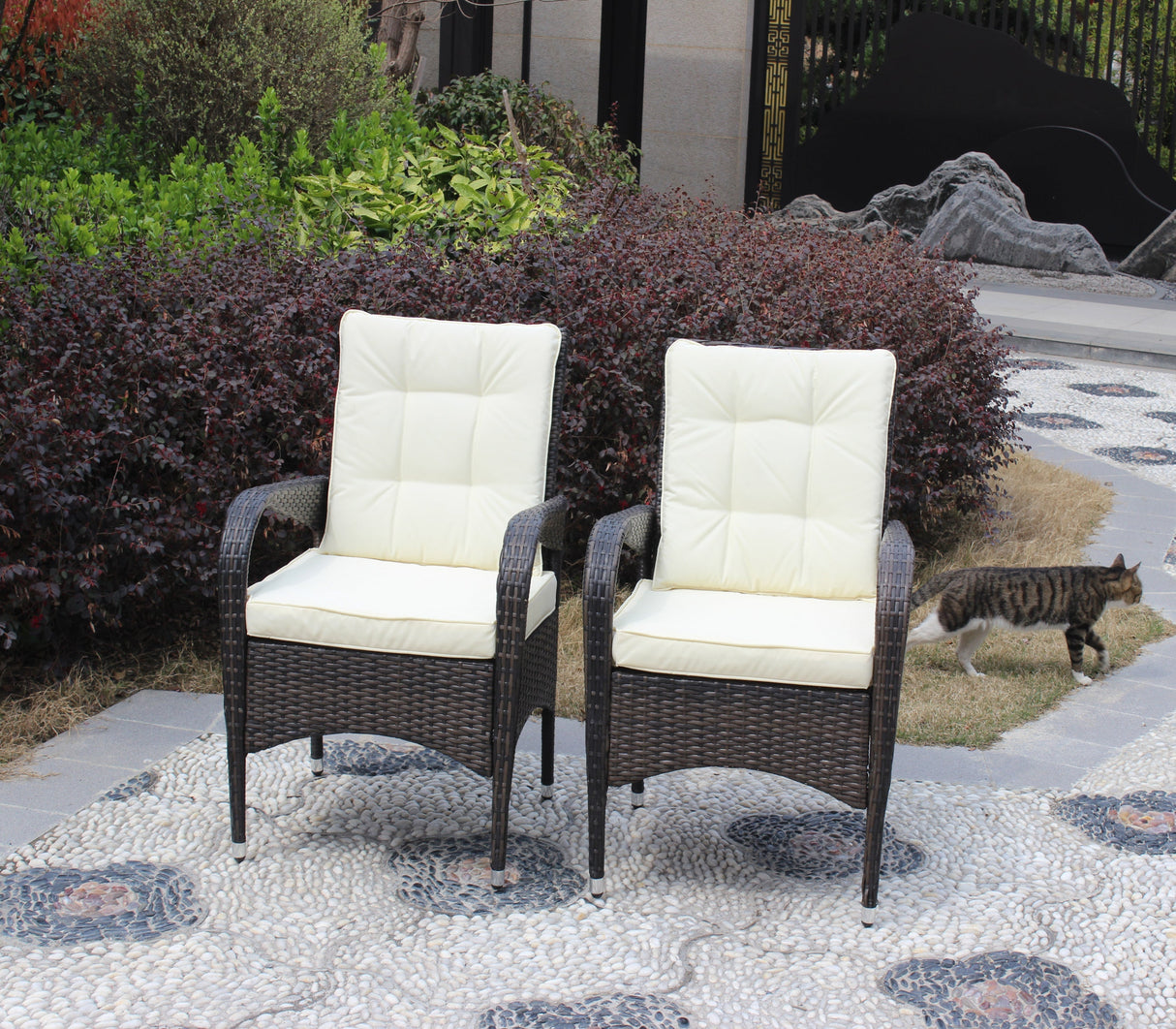 2-Piece Liberatore Dining Chairs with Beige Cushions