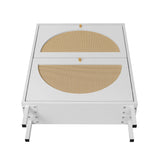 2 Door Shoe Rack, Rattan, Double Layer, Suitable For Living Room, Hallway - White