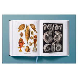 The Art and Science of Ernst Haeckel (German, French, English)