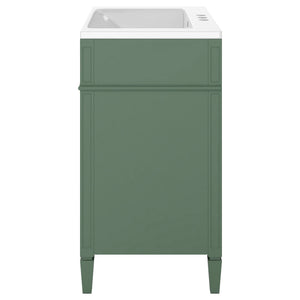 Bathroom Vanity With Top Sink, Storage Cabinet, 2 Drawers, Tip Out Drawer