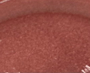 Sierra Rose Lipstick - NEW from Danyel Cosmetics
