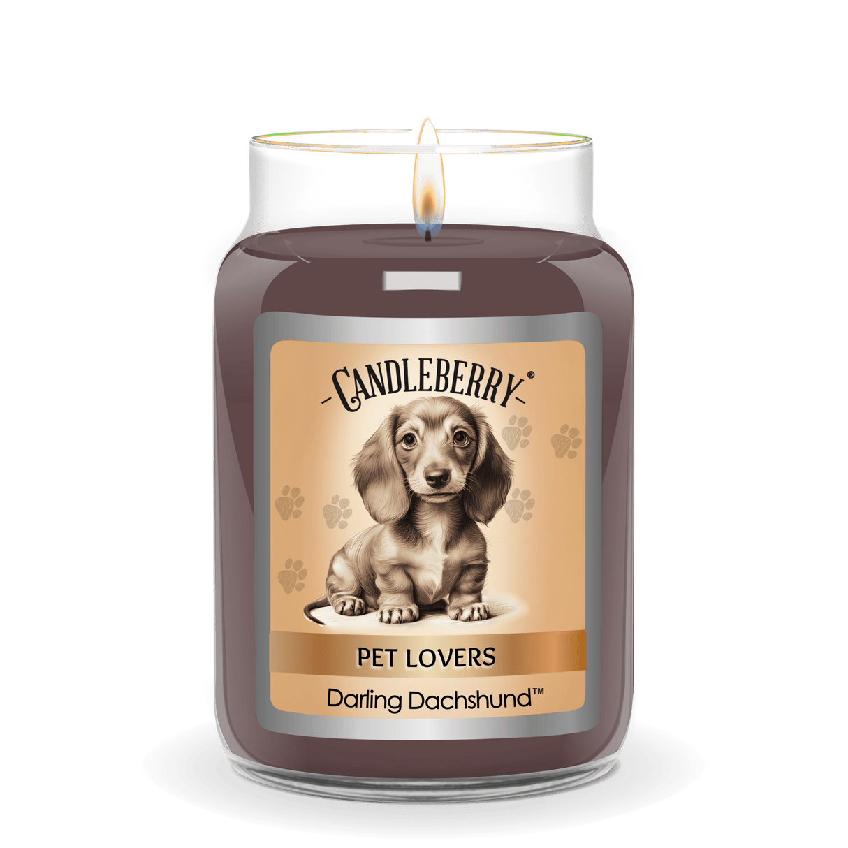 Darling Dachshund™ - Large Jar Candle (Collective)