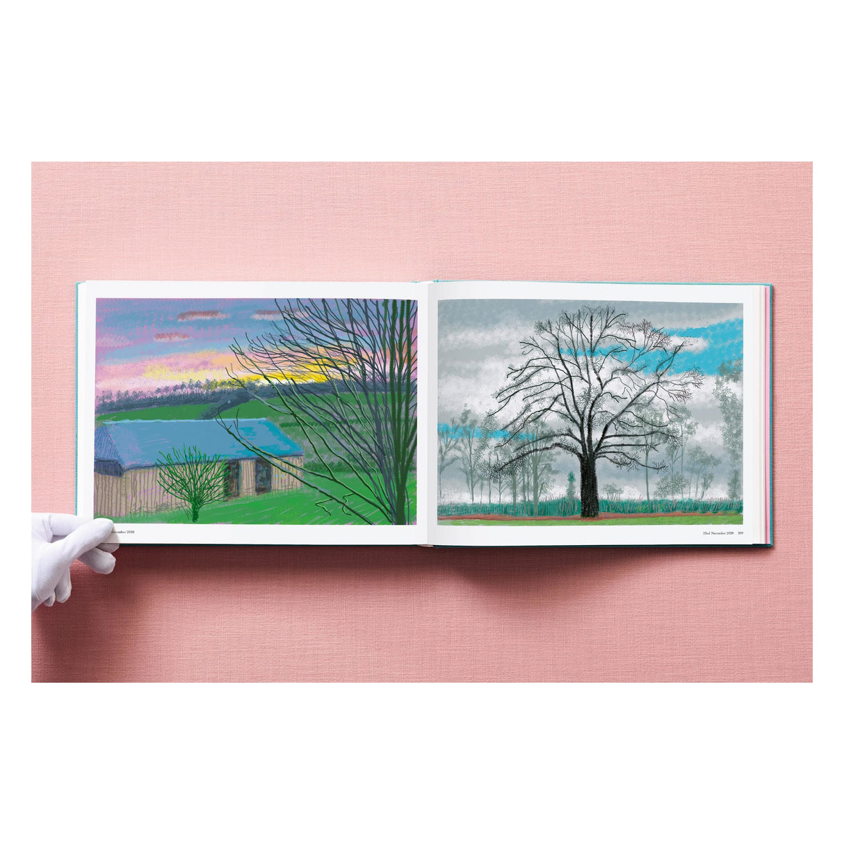 David Hockney. 220 for 2020 (English)