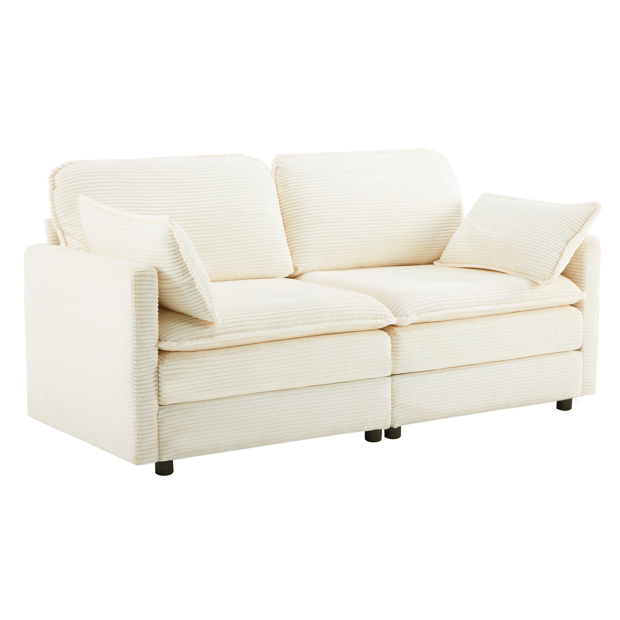 69" Plush Cloud Loveseat: Modular 2-Seater Sectional Sofa