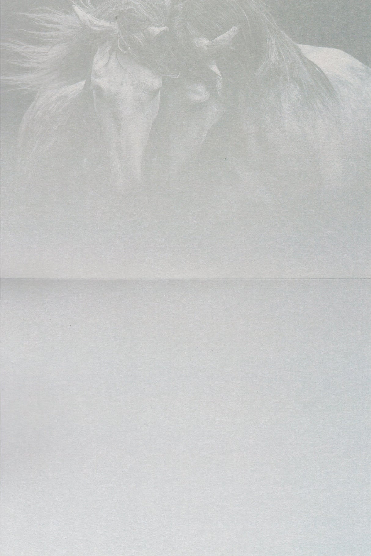 Kindred Spirits Greeting Card -  Blank Card