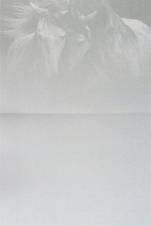 Kindred Spirits Greeting Card -  Blank Card