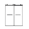 Frameless Double Sliding Shower Door