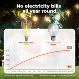 100FT Solar String Lights Outdoor – Waterproof LED Globe Lights for Patio & Garden
