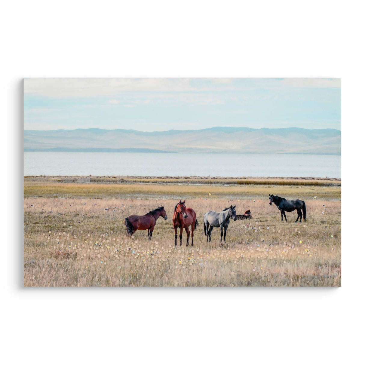 Horse Framed Wall Art Decor for Living Room - Denim Brown