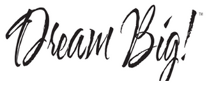 Dream Big Twin Pack Bed Pillows