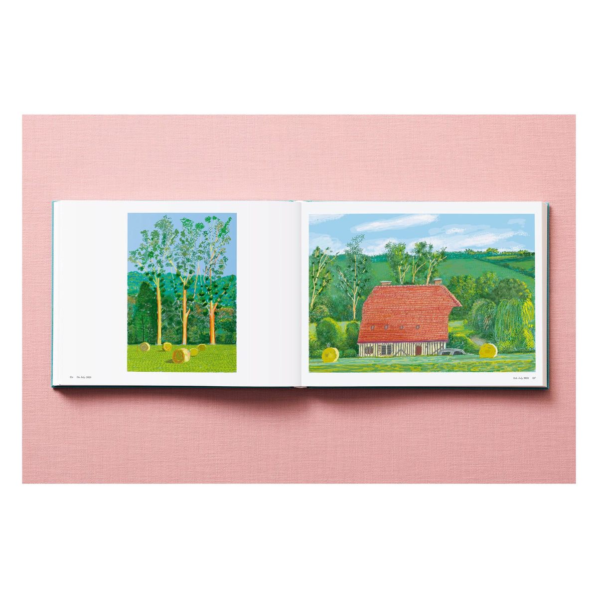 David Hockney. 220 for 2020 (English)