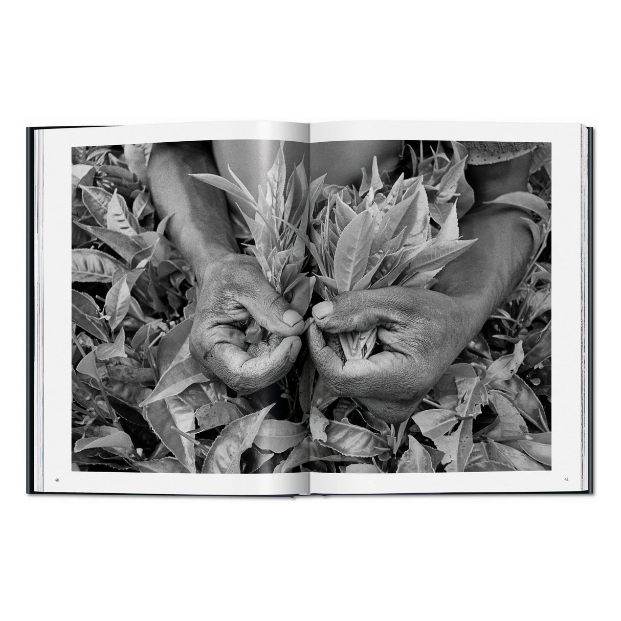 Sebastião Salgado. Workers. An Archaeology of the Industrial Age (English)