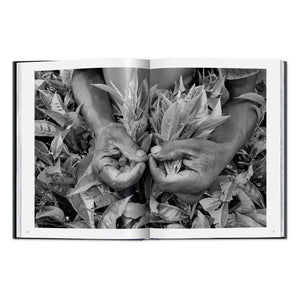 Sebastião Salgado. Workers. An Archaeology of the Industrial Age (English)