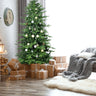 5FT Christmas Tree