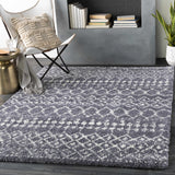 Dark Gray Blue Navassa Area Rug - Clearance