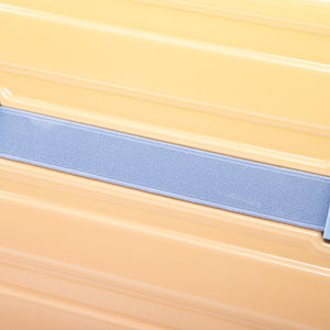 14'/20' 2-Piece PC Spinner Wheel Luggage Set in Gradient Blue and Yellow