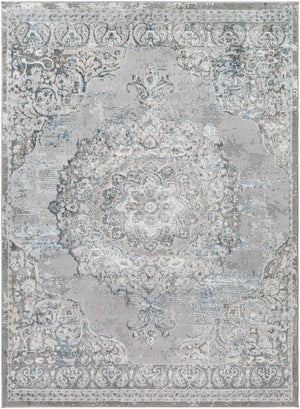 Demiryol Area Rug - Clearance