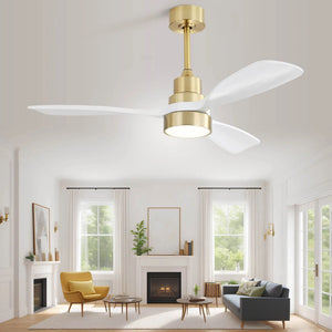 Indoor Ceiling Fan With Dimmable LED Light, 6-Speed Remote Control, LED DC Motor, Reversible Blades