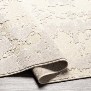 Donnycarney Area Rug - Clearance