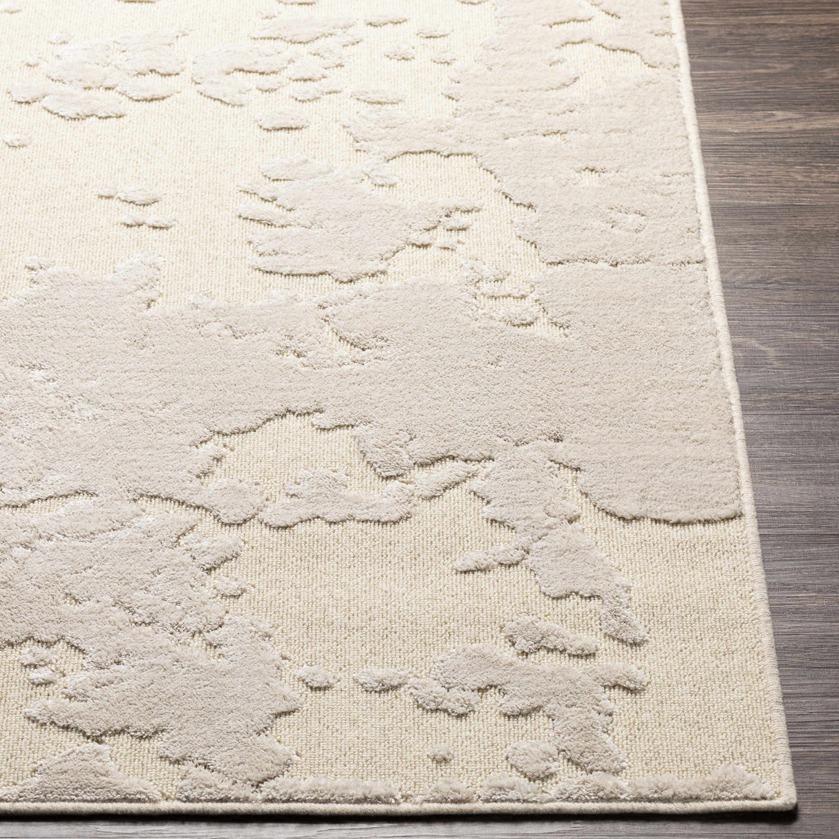 Donnycarney Area Rug - Clearance