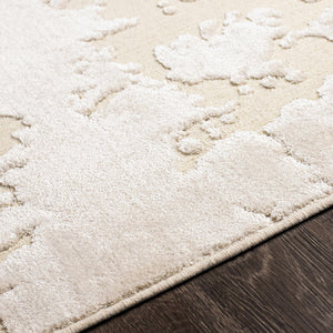 Donnycarney Area Rug - Clearance