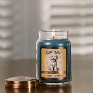 Doodle's Delight™ - Large Jar Candle (Collective)