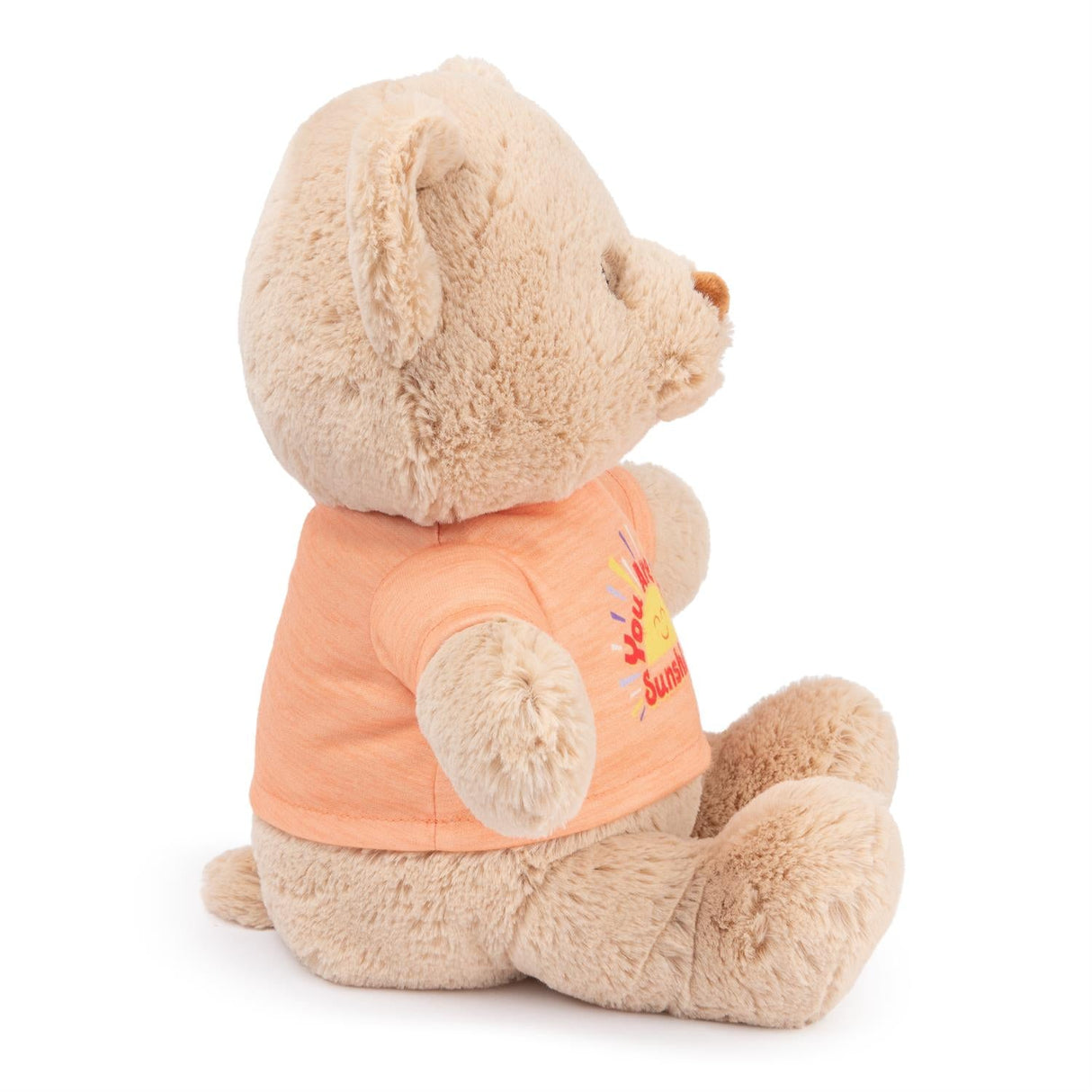 You Are my Sunshine Message Bear