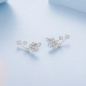 925 Sterling Silver & Brass White Gold Plated Earrings with CZ for Women