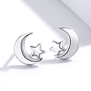 S925 Sterling Silver Earrings for Women